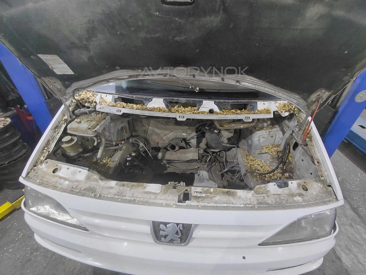 Peugeot Expert, 2012