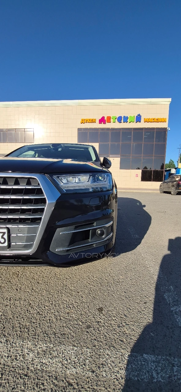 Audi Q7, 2019