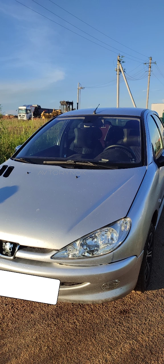 Peugeot 206, 2002